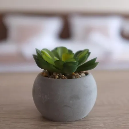 מלון Self Check-in семеен рудин