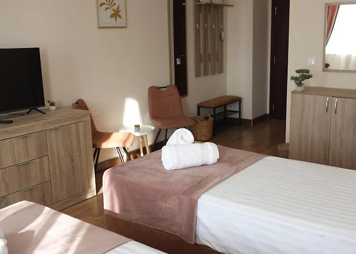 Self Check-in семеен рудин *